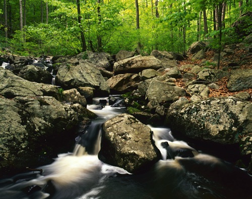 Hollow Brook 3, Teetertown Ravine, Hunterdon County, NJ (MF).jpg